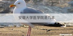 安徽大学医学院是几本