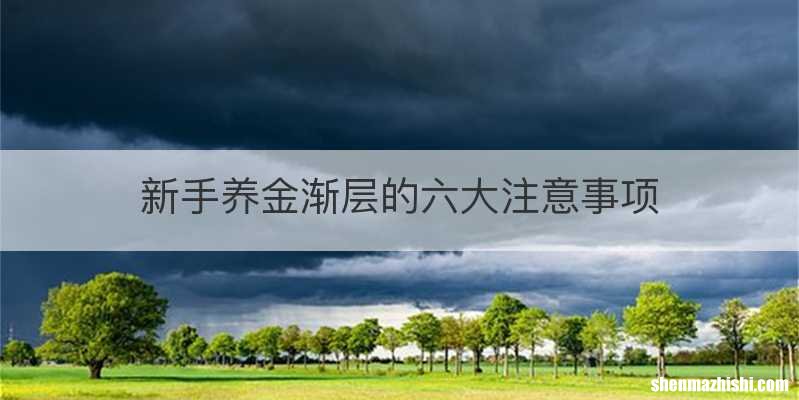 新手养金渐层的六大注意事项