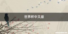 世界杯中文版