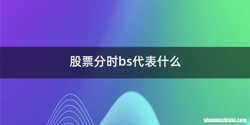 股票分时bs代表什么