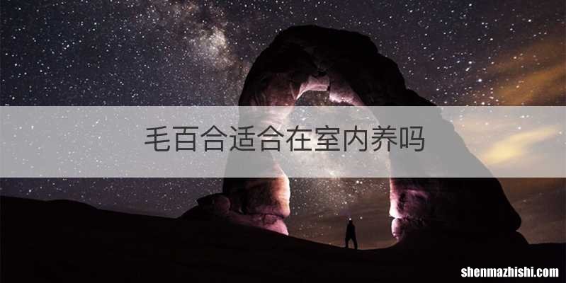 毛百合适合在室内养吗