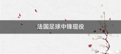 法国足球中锋现役