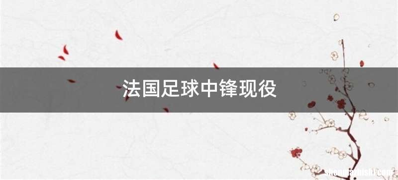 法国足球中锋现役