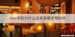 vivo手机为什么没有屏幕使用时间