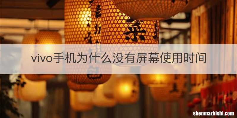 vivo手机为什么没有屏幕使用时间