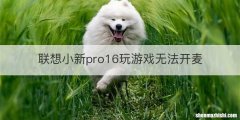 联想小新pro16玩游戏无法开麦