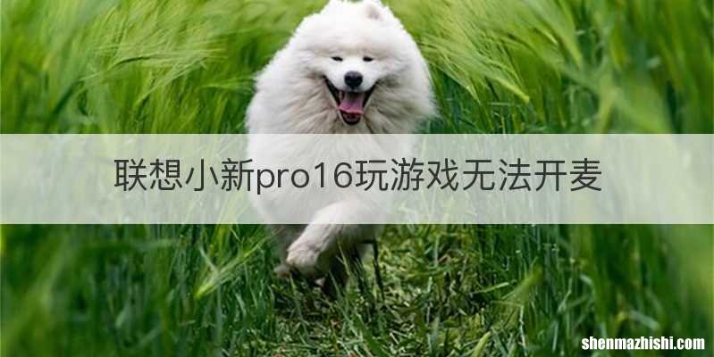 联想小新pro16玩游戏无法开麦