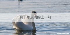 月下草虫鸣的上一句