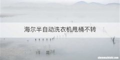 海尔半自动洗衣机甩桶不转