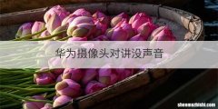 华为摄像头对讲没声音