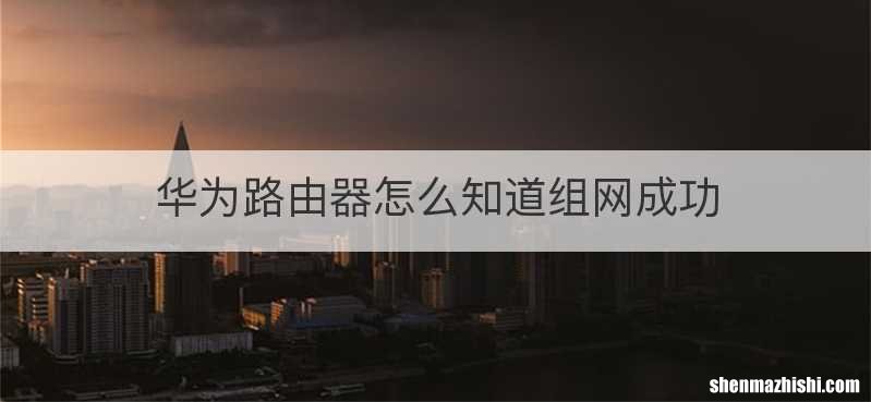 华为路由器怎么知道组网成功