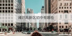 潍坊高新区初中有哪些