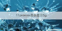 11promax怎么显示5g