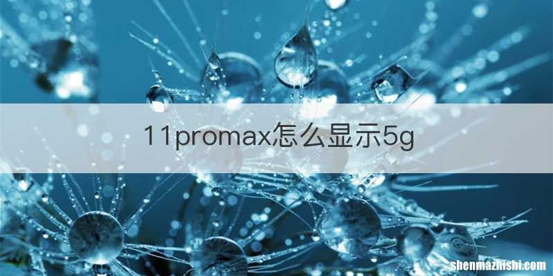11promax怎么显示5g