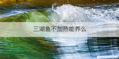 三湖鱼不加热能养么