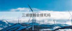 三湖慈鲷会撑死吗