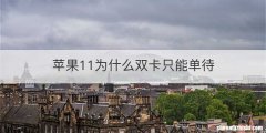 苹果11为什么双卡只能单待