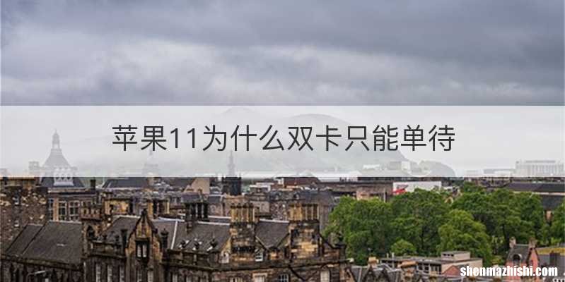 苹果11为什么双卡只能单待