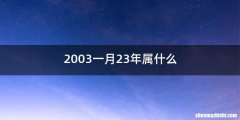 2003一月23年属什么