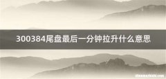 300384尾盘最后一分钟拉升什么意思
