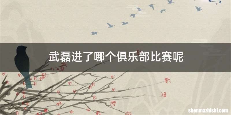 武磊进了哪个俱乐部比赛呢