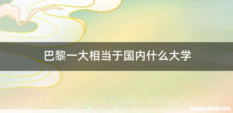 巴黎一大相当于国内什么大学