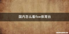 国内怎么看fox体育台