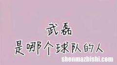 武磊在国内什么俱乐部