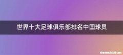 世界十大足球俱乐部排名中国球员