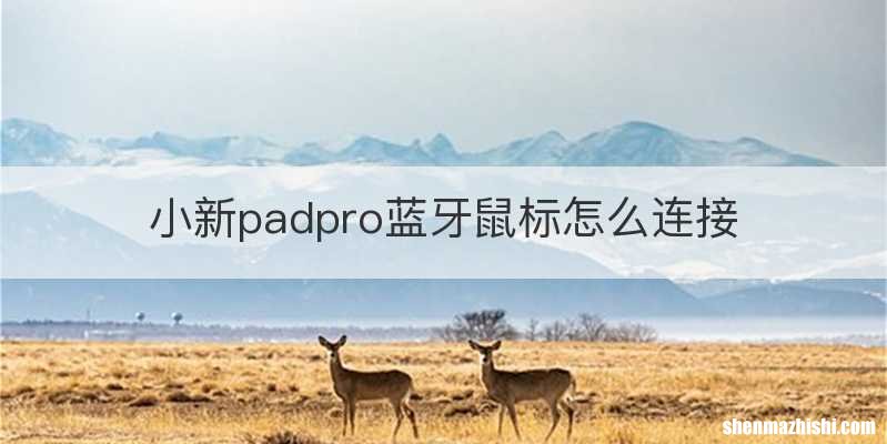 小新padpro蓝牙鼠标怎么连接