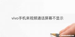 vivo手机来视频通话屏幕不显示