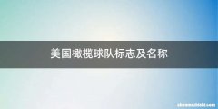 美国橄榄球队标志及名称