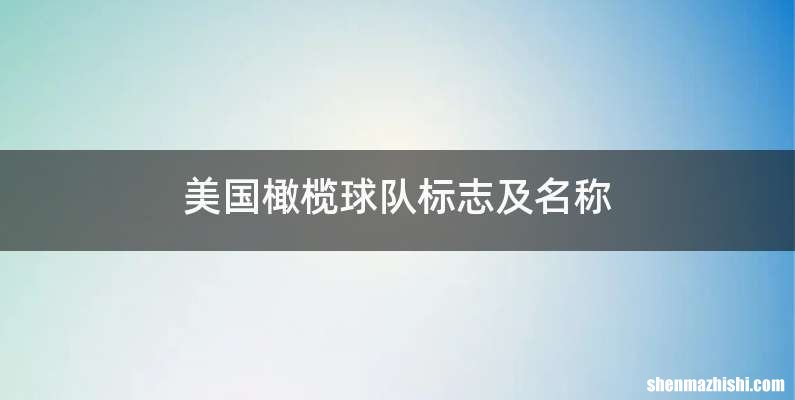 美国橄榄球队标志及名称