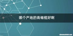 哪个产地的青橄榄好啊