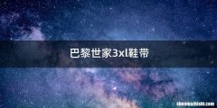 巴黎世家3xl鞋带