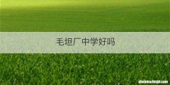 毛坦厂中学好吗