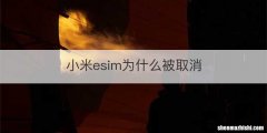 小米esim为什么被取消