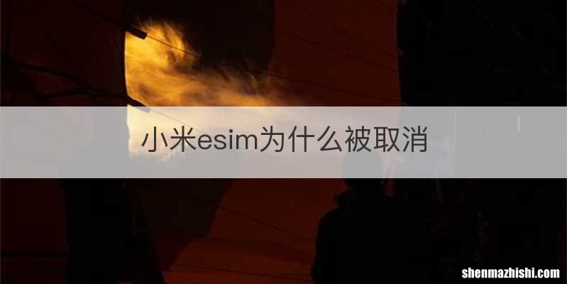 小米esim为什么被取消