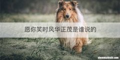愿你笑时风华正茂是谁说的