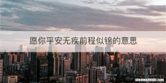 愿你平安无疾前程似锦的意思