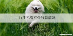1+手机有红外线功能吗