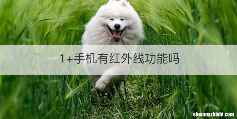1+手机有红外线功能吗