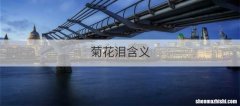 菊花泪含义