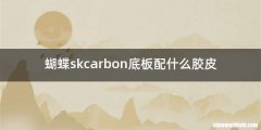 蝴蝶skcarbon底板配什么胶皮