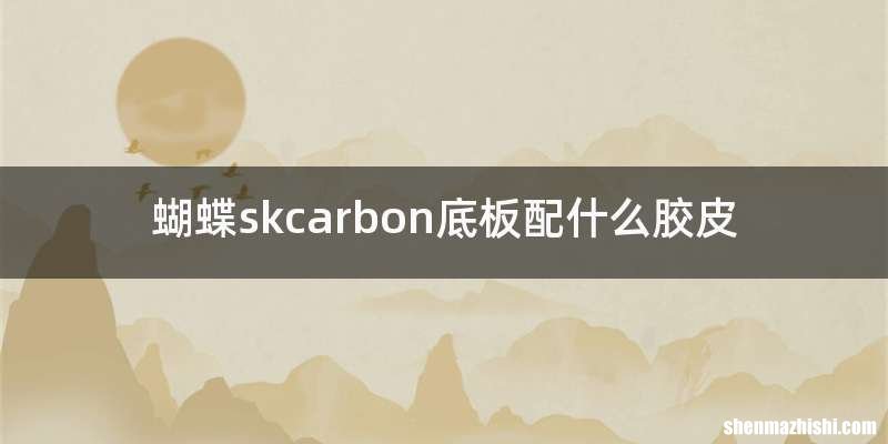 蝴蝶skcarbon底板配什么胶皮