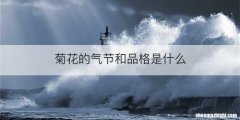 菊花的气节和品格是什么