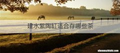 建水紫陶缸适合存哪些茶
