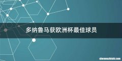 多纳鲁马获欧洲杯最佳球员