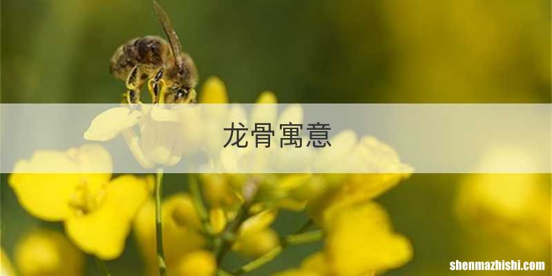 龙骨寓意