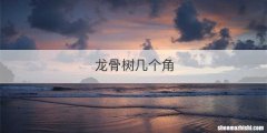 龙骨树几个角